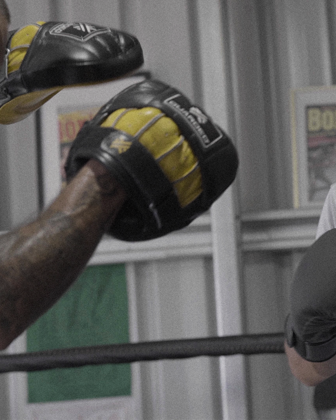 Focus Mitts